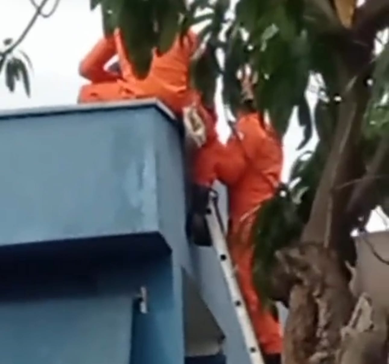 Trabalhador sofre descarga elétrica enquanto cortava calha no telhado no CPA 4; esposa ajuda a salvar a vítima