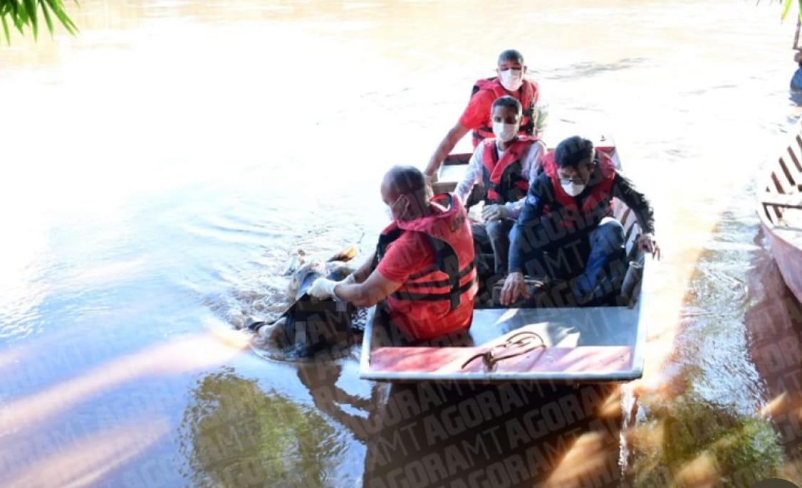 Cena de horror em Rio: mulher é encontrada morta com sinais brutais de violência