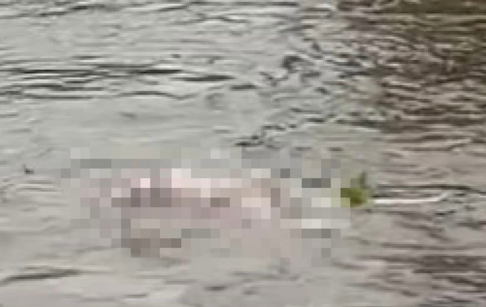 URGENTE: Neste momento corpo é encontrado no Rio Coxipó, na Avenida das Torres, em Cuiabá