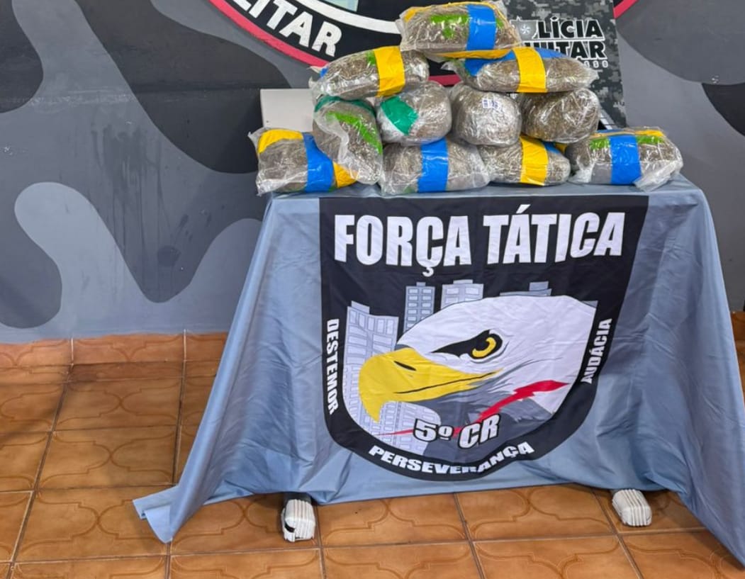 Mulher é presa com 11 tabletes de skunk em ônibus durante operação da PM em General Carneiro