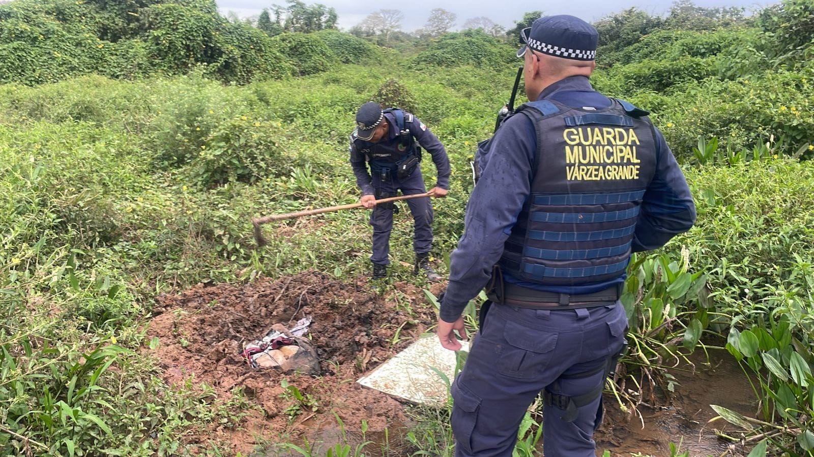 Mistério na mata: Guarda Municipal encontra corpo enterrado de cabeça para baixo