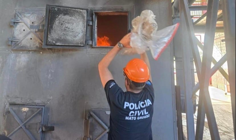 Três toneladas de drogas são destruídas pela Polícia Civil em Cuiabá
