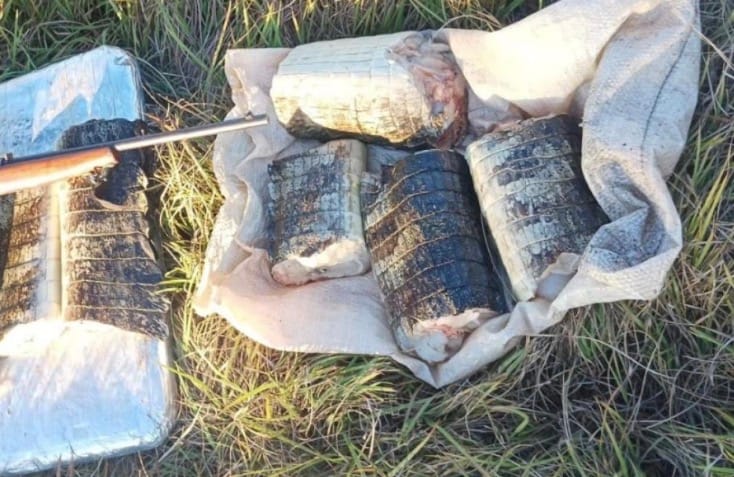FLAGRANTE NO PANTANAL | Dupla é presa com carne de jacaré, pescado irregular e arma de fogo em Poconé