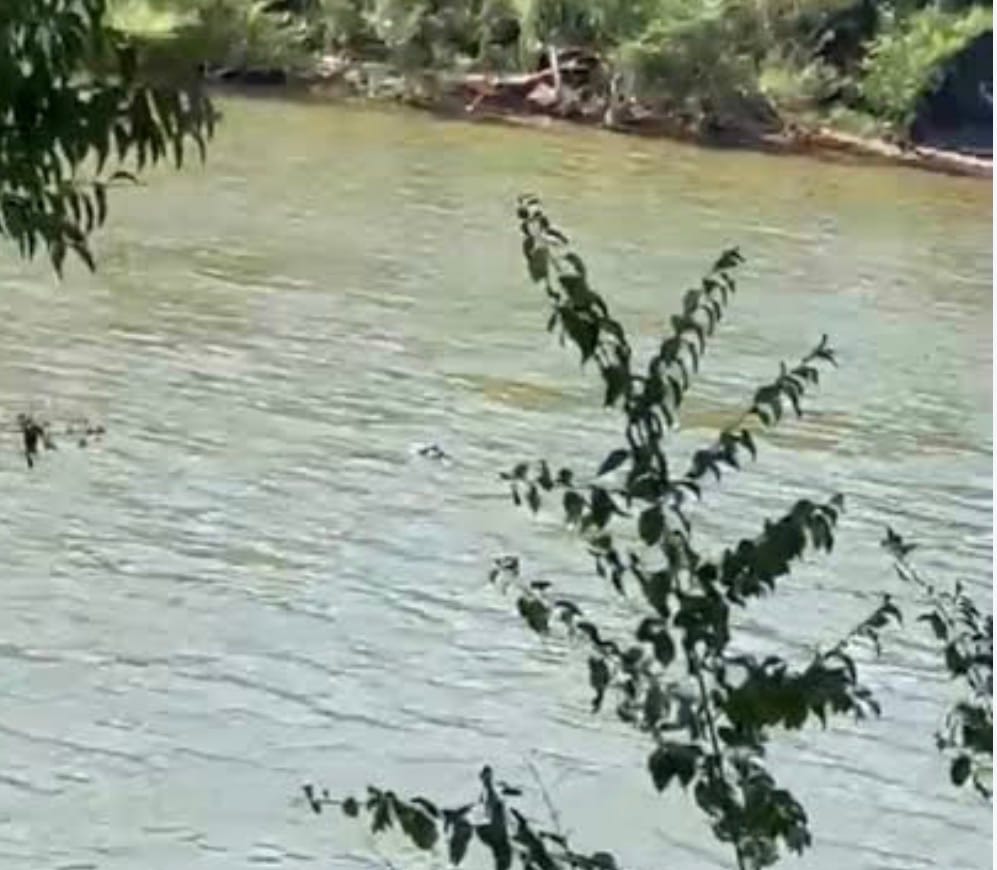 🚨 URGENTE | CORPO É VISTO BOIANDO NO RIO CUIABÁ