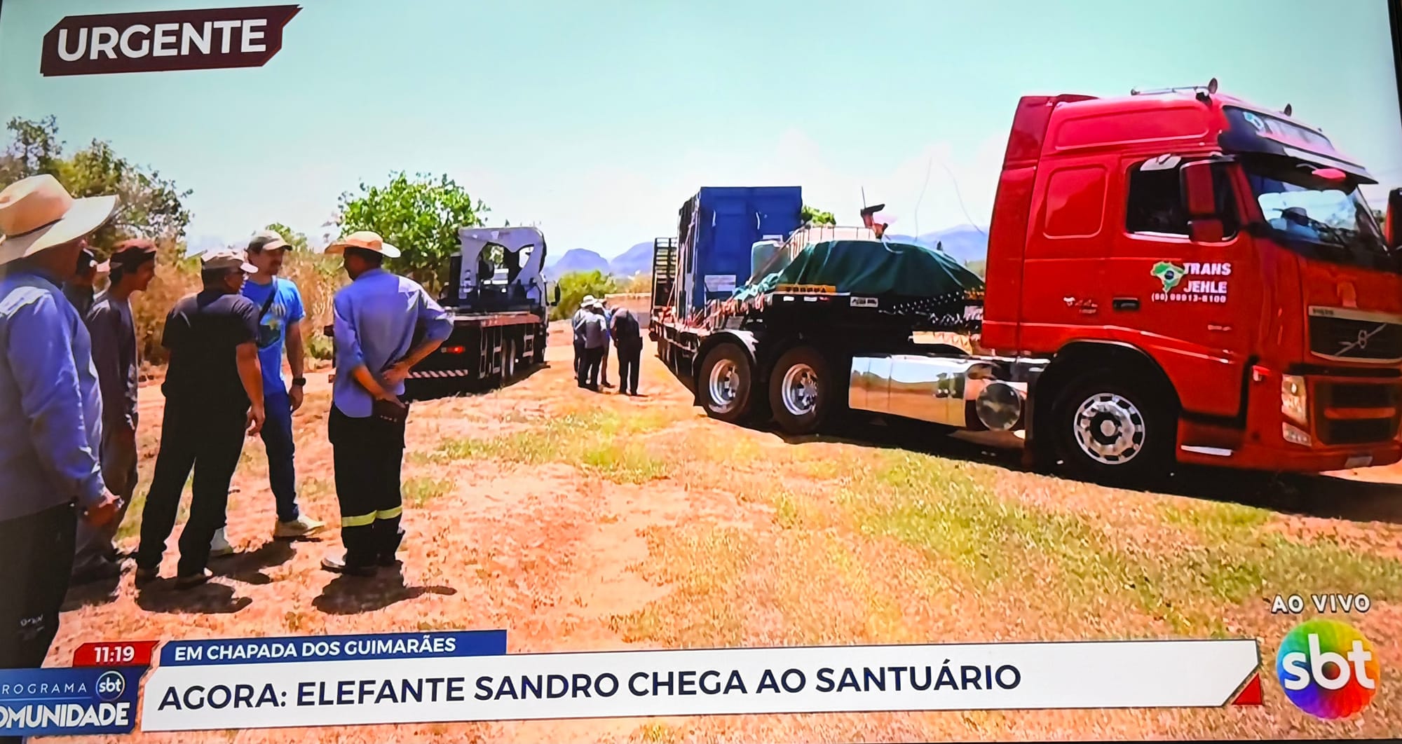 Elefante Sandro chega ao santuário em Chapada dos Guimarães após viagem de 1,6 mil km
