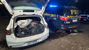 PRF apreende 300 quilos de pescado irregular em carro adaptado e prende dois homens na BR-364