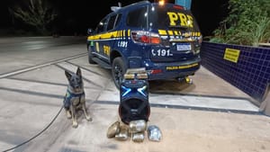 PRF prende homem com drogas escondidas em caixa de som durante abordagem em ônibus que seguia de Cuiabá para Goiânia