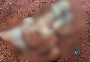 Mistério e brutalidade: corpo decapitado é achado em mata durante buscas por jovem desaparecido