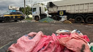 URGENTE | PRF ESTOURA ESQUEMA E APREENDE DROGAS EM DUAS CARRETAS EM MATO GROSSO