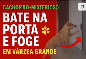 Moradores filmam “cachorro-misterioso” que bate na porta e foge em Várzea Grande