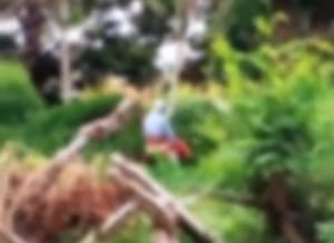 Idosos são flagradas fazendo sexo ao ar livre em Várzea Grande, vídeo viralizou