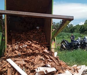 Homem é flagrado descartando resíduos em área verde e acaba conduzido pela Guarda Municipal