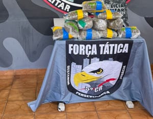 Mulher é presa com 11 tabletes de skunk em ônibus durante operação da PM em General Carneiro