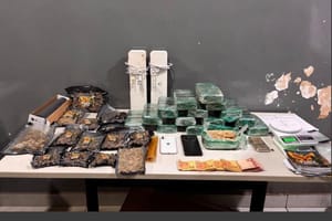 Denúncia de vizinhos leva Força Tática a desmantelar esquema de tráfico e apreender cocaína e quase 500 comprimidos de ecstasy em VG