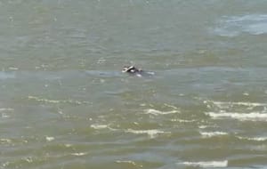 URGENTE NESTE MOMENTO, CORPO É VISTO BOIANDO NO RIO CUIABÁ