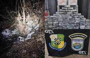 Avião com carga de cocaína é encontrado com dois corpos em decomposição em MT
