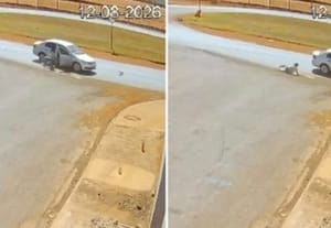 DESESPERO NA ROTATÓRIA: mulher se joga de carro em movimento para escapar de ameaças de morte do marido