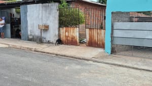 CRIME BRUTAL: MULHER É CHAMADA NO PORTÃO E MORTA A TIROS DENTRO DE CASA EM CUIABÁ