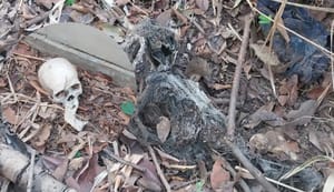 Ossada humana é encontrada durante escavação de obra do BRT em Várzea Grande